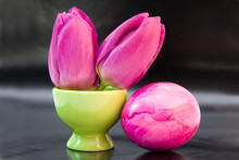 Easter Egg And Purple Tulips Against The Black Background