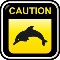 Caution - dolphin