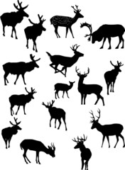 Wall Mural - fifteen deer silhouettes