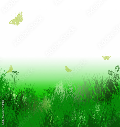 Herbes Vertes Et Papillons Sur Fond Degrade Blanc Et Vert Stock Illustration Adobe Stock