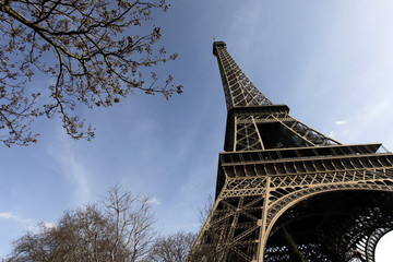 tour eiffel - eiffel tower