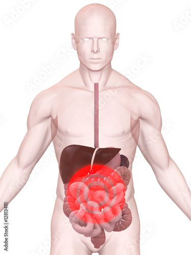 Menschliche Anatomie Mit Schmerzen Im Bauch Poster Posters Sebastian Kaulitzki