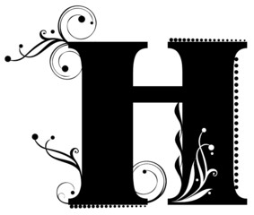 Wall Mural - Letter H