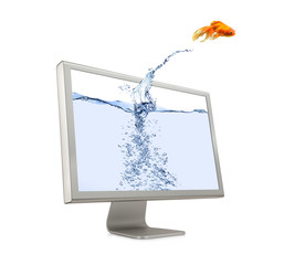 Canvas Print - Goldfish Jumping Out Of Screen