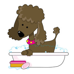 Wall Mural - Poodle Bath Brown