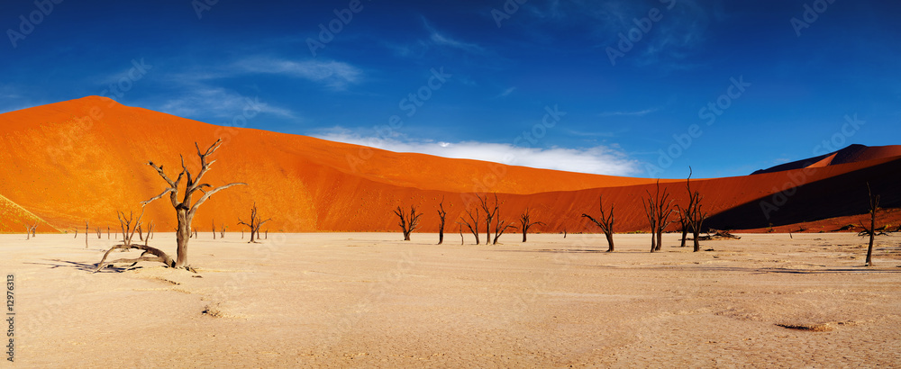 Namib Desert, Sossusvlei, Namibia - obrazy, fototapety, plakaty 