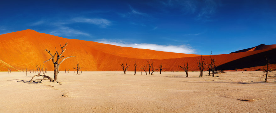 Namib Desert, Sossusvlei, Namibia
