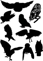 Wall Mural - nine owl silhouettes