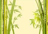 Fototapeta Sypialnia - arrière-plan bambous