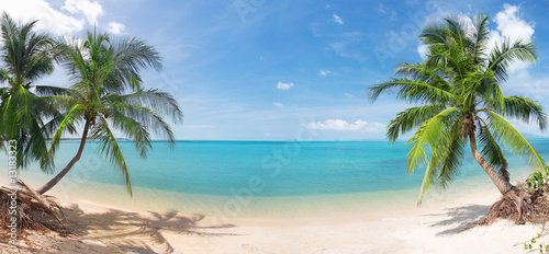 Naklejka - mata magnetyczna na lodówkę panoramic tropical beach with coconut palm