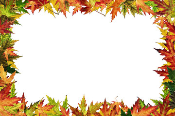 Wall Mural - Autumnal framework with leaves.