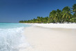 Saona: Sand Beach, Caribbean Ocean and Palm Trees