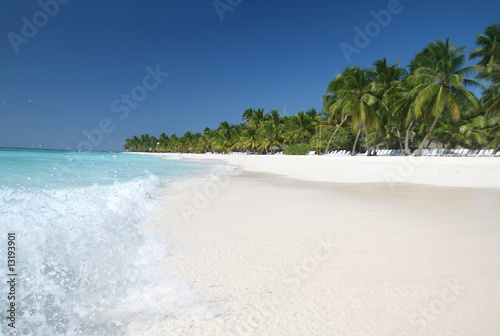 Fotografie, Obraz Saona: Sand Beach, Caribbean Ocean and Palm Trees