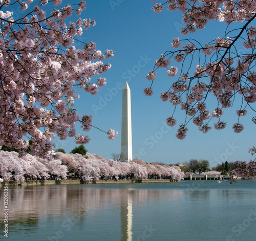 Fotografie, Obraz Washington Monument reflected in tidal basin