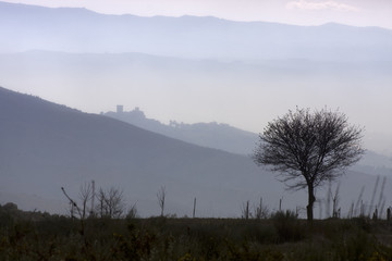  arbol y montañas