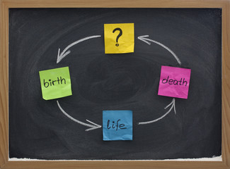 life cycle or reincarnation concept on blackboard