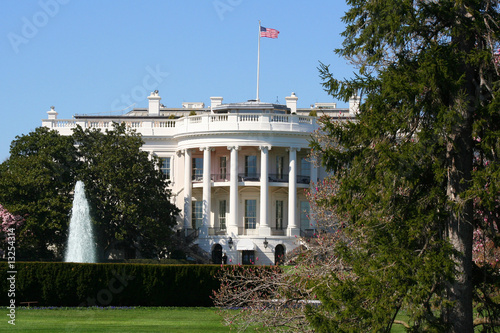 Cuadros en Lienzo White House from the South Lawn
