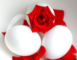 red rose in a white egg