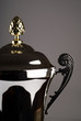 Close up of silver trophy