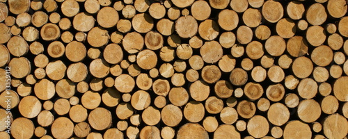 Plakat na zamówienie Gestappeltes Holz