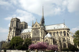 Fototapeta Paryż - Notre Dame vue de côté, Paris