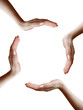 © graja - circle of four hands on white background