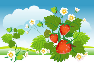 Wall Mural - Strawberry