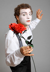 Wall Mural - man holding a rose. mime on grey background