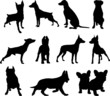 vector set of dogs silhouette