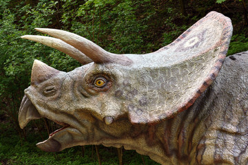 Model of Triceratops Prorsus dinosaur