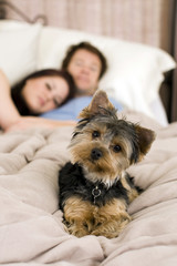 Couple in bed