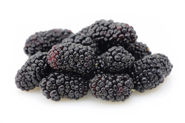 Wall Mural - Blackberries closeup