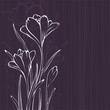 Lilac design with crocus silhouettes