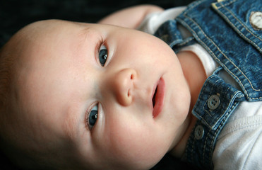 Wall Mural - Portrait of three months old sweet baby.