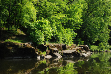 Green trees and stones on river bank