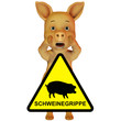 Schweinegrippe