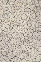 Dry Cracked Earth
