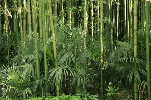 Dekoracja na wymiar  bambus
