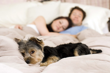 Couple in bed