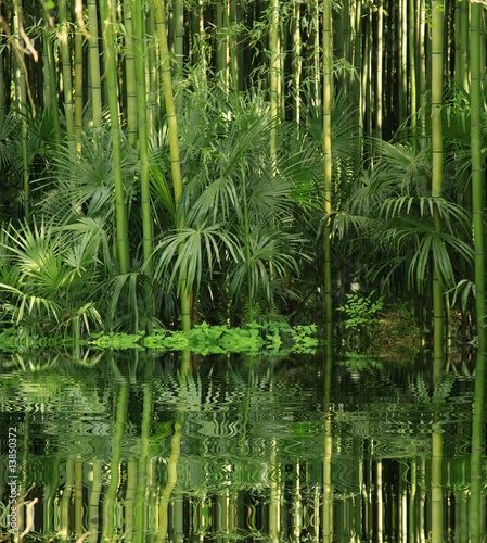 Naklejka - mata magnetyczna na lodówkę bambou au bord de l eau