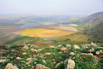 Canvas Print - The valley from height of the bird's flight. Spring