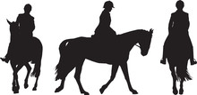 Equestrian Rider