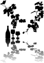 Vine Illustration With Reflection