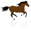 brown vector horse run gallop