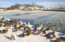 Port Dover Harbour In The Winter