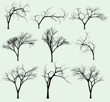 Set Of Silhouettes Of Trees