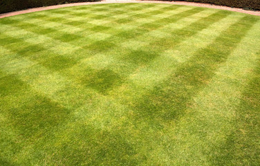 Lawn mowed in a pattern