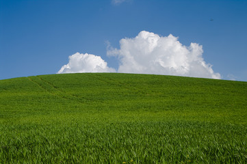 green hill with white clouds