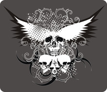 Skull Grey With Wings