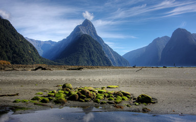 Wall Mural - Milford Sound